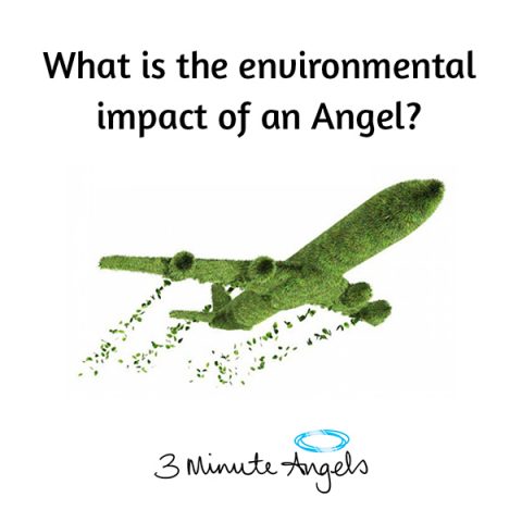 What’s the Environmental Impact of an Angel?