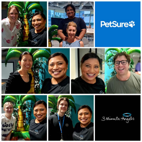 PetSure Office Massages